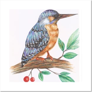 kingfisher colorful natural ballpoint pen art Posters and Art